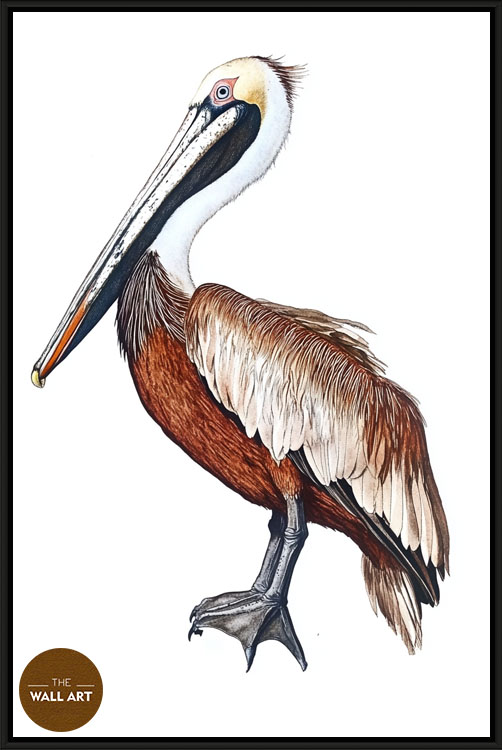 images/products/brown_pelican/brown_pelican_BLACK.jpg