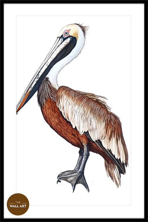 images/products/brown_pelican/brown_pelican_BLACK_PWB.jpg