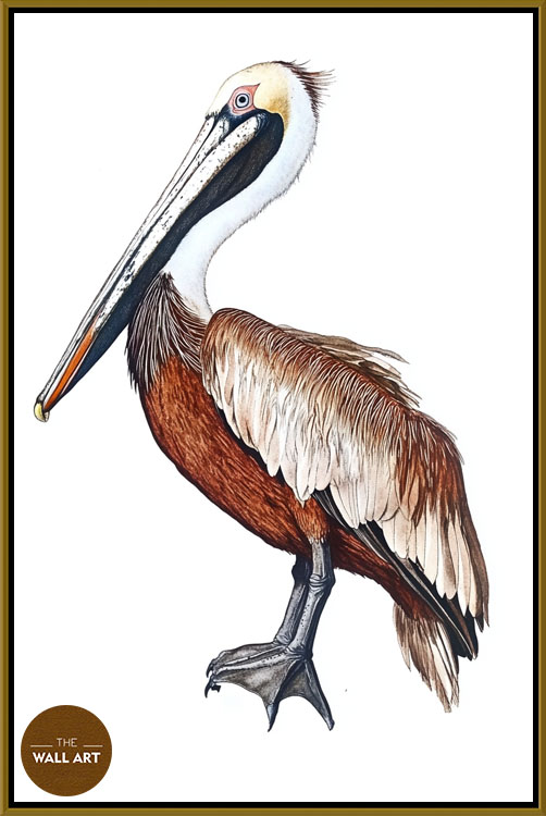 images/products/brown_pelican/brown_pelican_GOLD.jpg