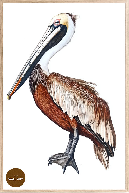 images/products/brown_pelican/brown_pelican_OAK_P.jpg