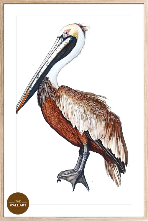 images/products/brown_pelican/brown_pelican_OAK_PWB.jpg