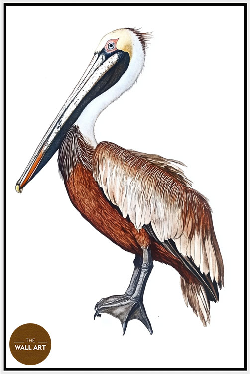 images/products/brown_pelican/brown_pelican_WHITE.jpg