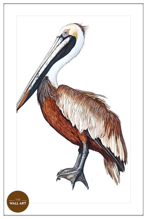 images/products/brown_pelican/brown_pelican_WHITE_PWB.jpg