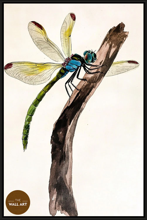images/products/dragonfly_ii/dragonfly_II_BLACK.jpg