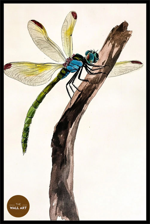 images/products/dragonfly_ii/dragonfly_II_BLACK_P.jpg
