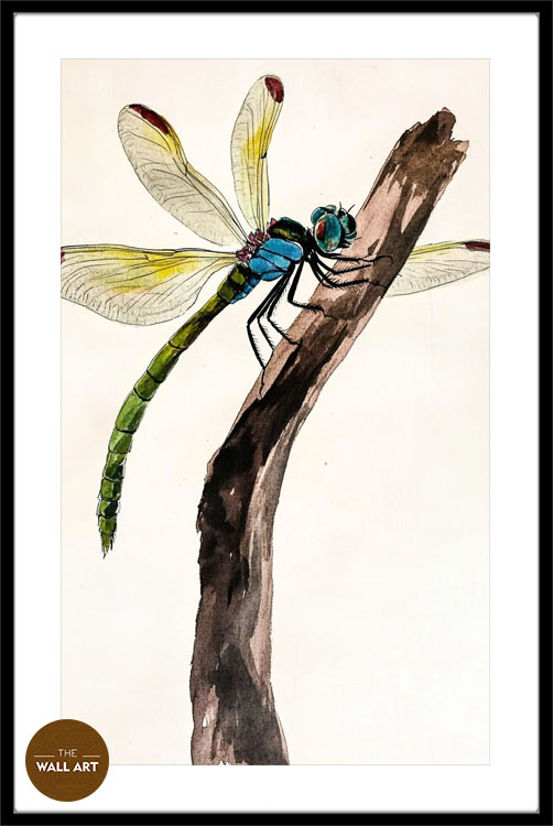 images/products/dragonfly_ii/dragonfly_II_BLACK_PWB.jpg