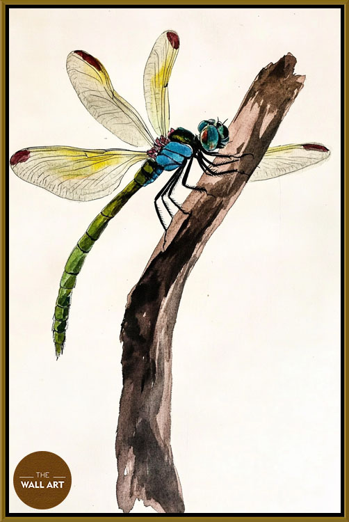 images/products/dragonfly_ii/dragonfly_II_GOLD.jpg