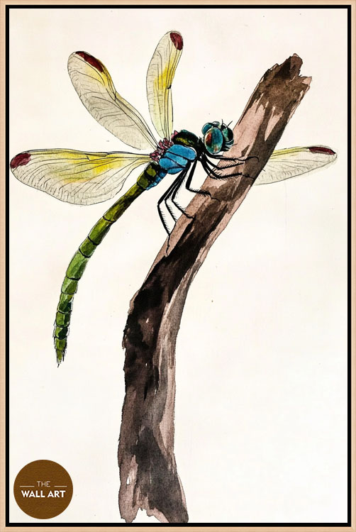 images/products/dragonfly_ii/dragonfly_II_OAK.jpg