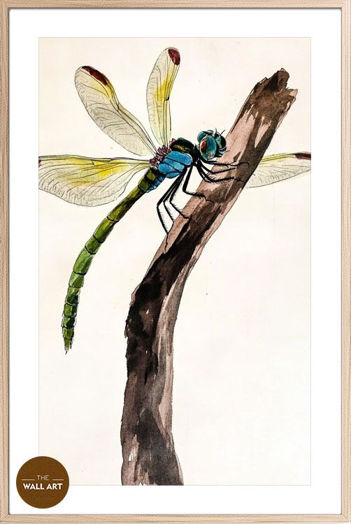 images/products/dragonfly_ii/dragonfly_II_OAK_PWB.jpg