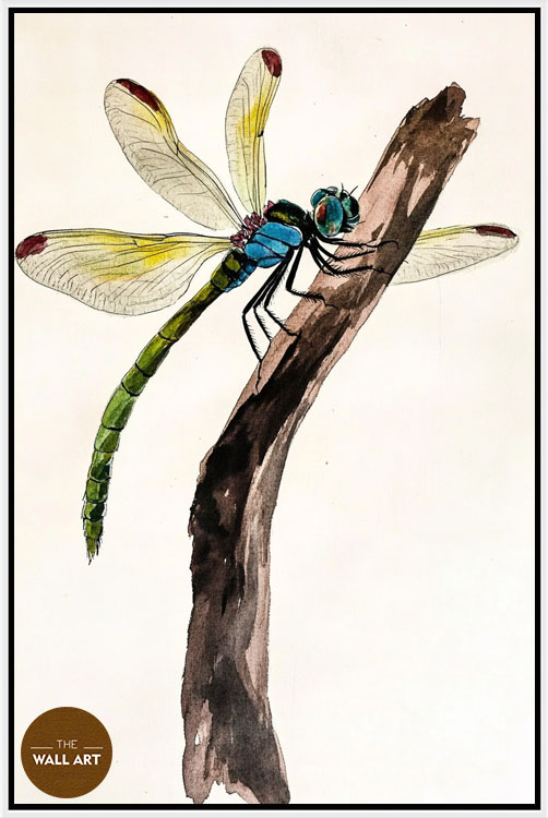 images/products/dragonfly_ii/dragonfly_II_WHITE.jpg