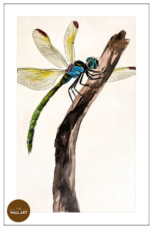 images/products/dragonfly_ii/dragonfly_II_WHITE_PWB.jpg