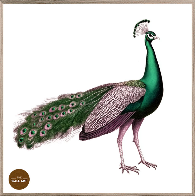 images/products/green_peacock/green_peacock_OAK_PWB.jpg