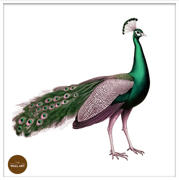 images/products/green_peacock/green_peacock_WHITE_PWB.jpg