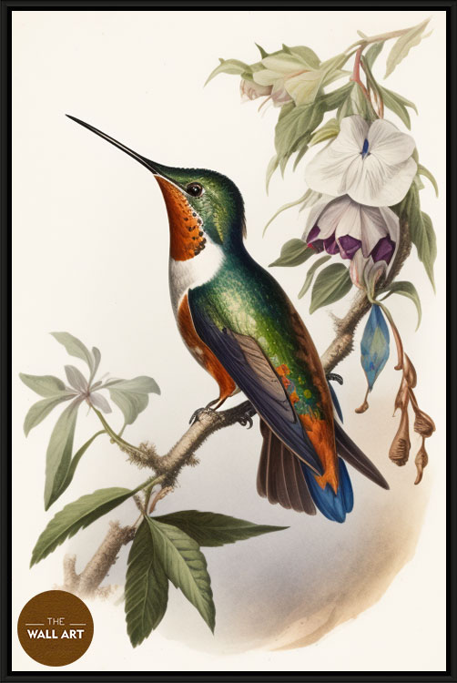 images/products/hummingbird_i/hummingbird_I_BLACK.jpg