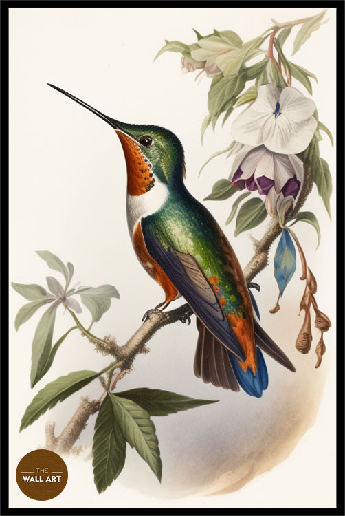 images/products/hummingbird_i/hummingbird_I_BLACK_P.jpg