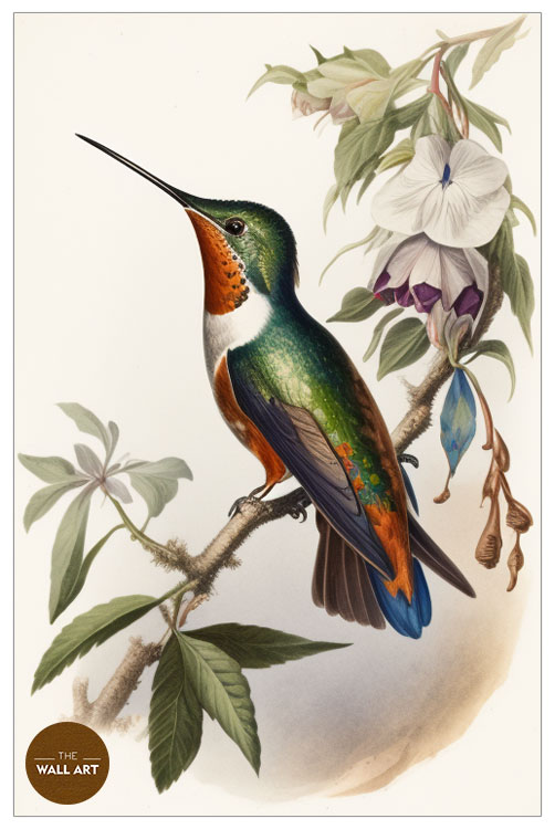images/products/hummingbird_i/hummingbird_I_WHITE_P.jpg