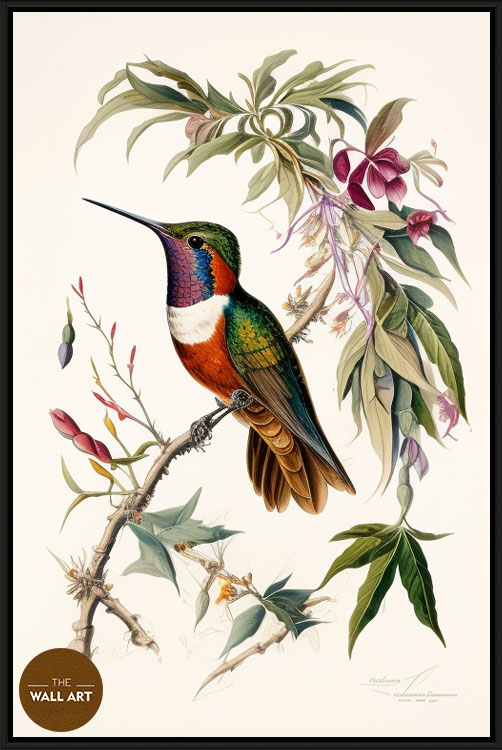 images/products/hummingbird_iii/hummingbird_III_BLACK.jpg