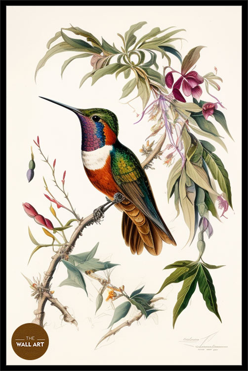 images/products/hummingbird_iii/hummingbird_III_BLACK_P.jpg
