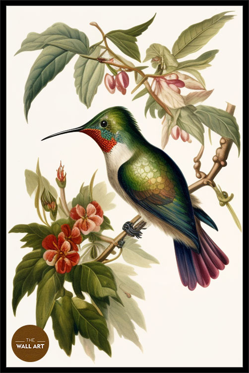 images/products/hummingbird_iv/hummingbird_Iv_BLACK_P.jpg