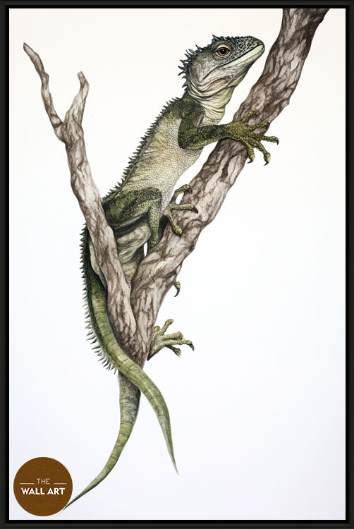 images/products/iguana/iguana_BLACK.jpg