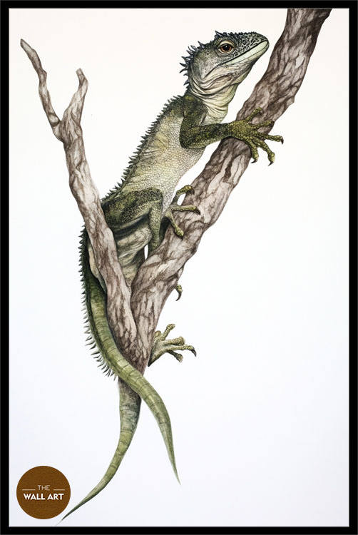 images/products/iguana/iguana_BLACK_P.jpg