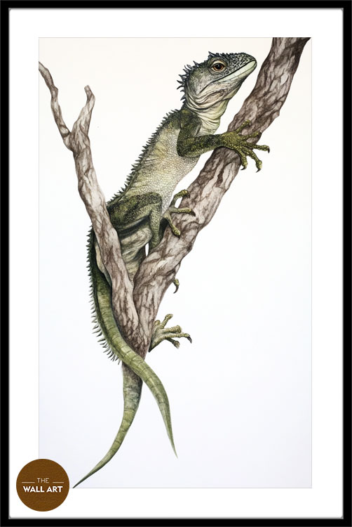 images/products/iguana/iguana_BLACK_PWB.jpg