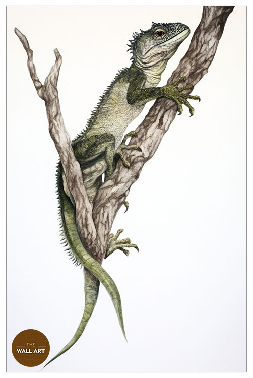 images/products/iguana/iguana_WHITE_P.jpg