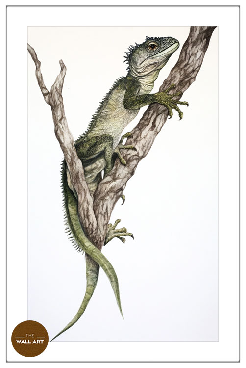 images/products/iguana/iguana_WHITE_PWB.jpg
