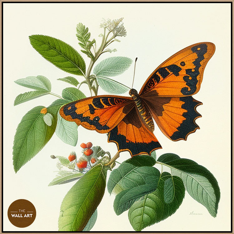 images/products/orange_butterfly/orange_butterfly_OAK.jpg