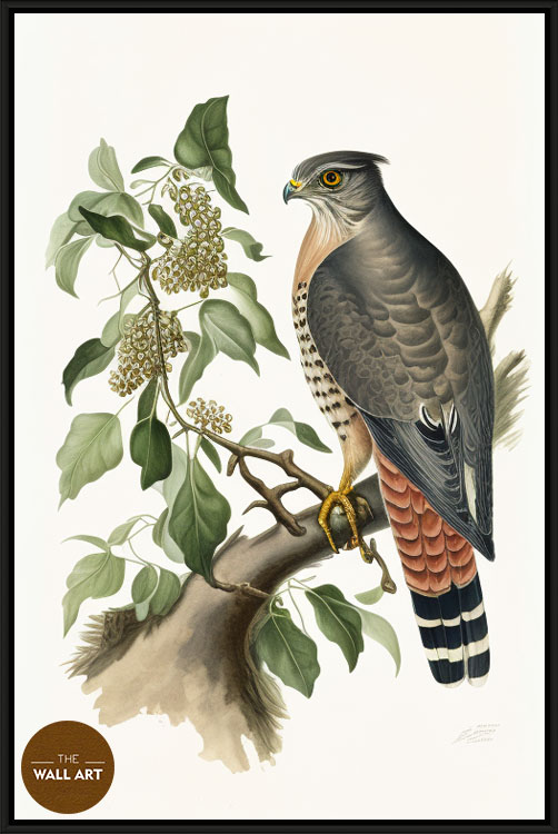 images/products/sparrowhawk_iii/Sparrowhawk_III_BLACK.jpg