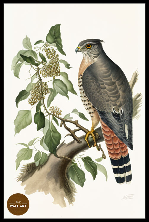 images/products/sparrowhawk_iii/Sparrowhawk_III_BLACK_P.jpg