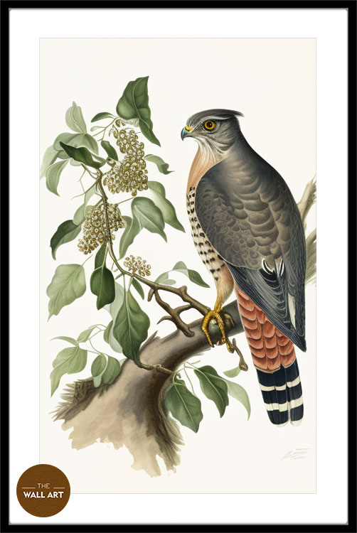 images/products/sparrowhawk_iii/Sparrowhawk_III_BLACK_PWB.jpg