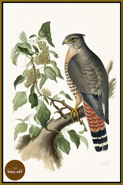 images/products/sparrowhawk_iii/Sparrowhawk_III_GOLD.jpg