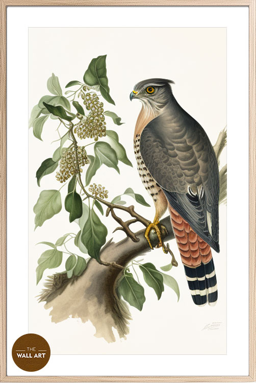 images/products/sparrowhawk_iii/Sparrowhawk_III_OAK_PWB.jpg