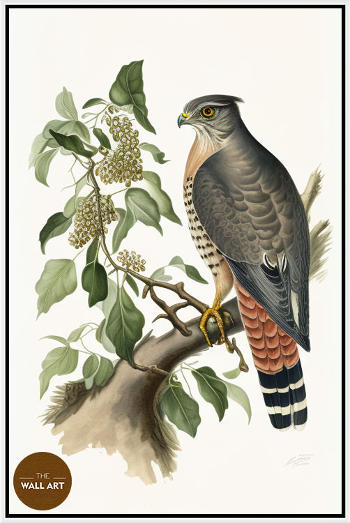 images/products/sparrowhawk_iii/Sparrowhawk_III_WHITE.jpg