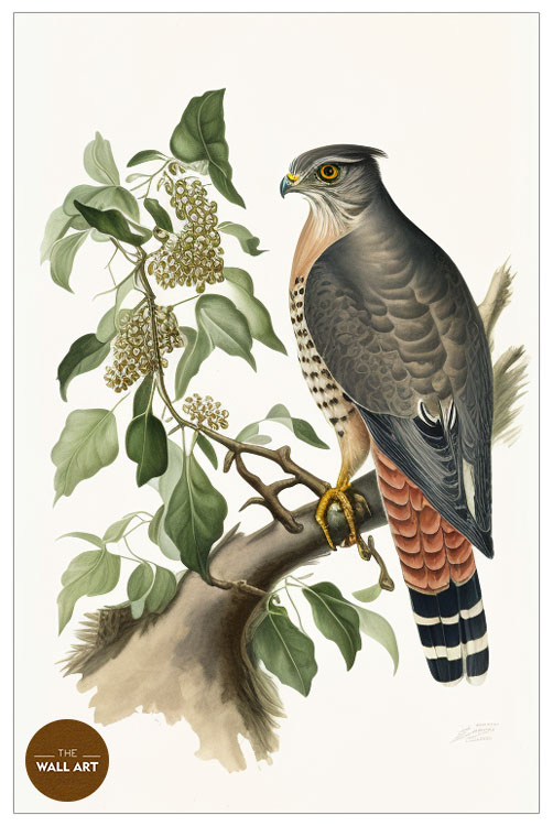 images/products/sparrowhawk_iii/Sparrowhawk_III_WHITE_P.jpg
