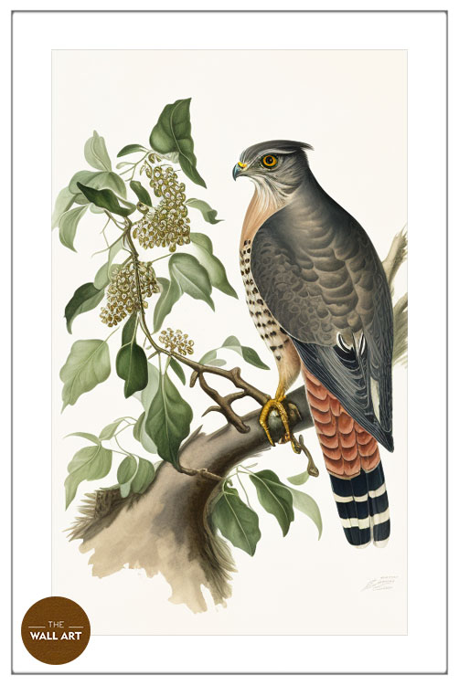 images/products/sparrowhawk_iii/Sparrowhawk_III_WHITE_PWB.jpg