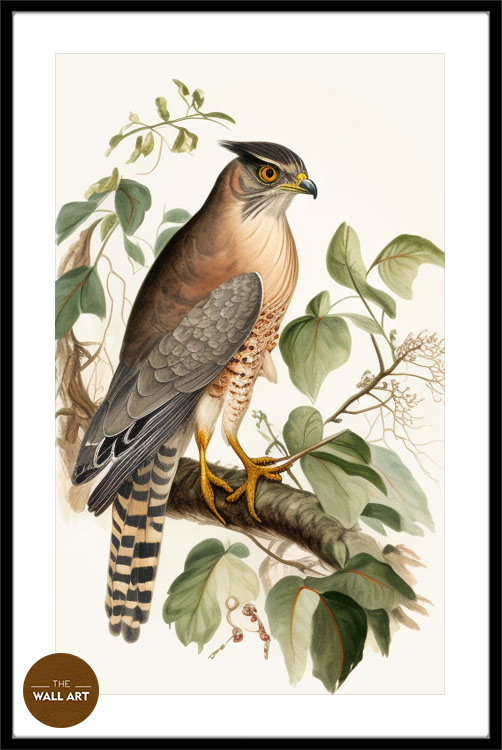images/products/sparrowhawk_iv/Sparrowhawk_IV_BLACK_PWB.jpg