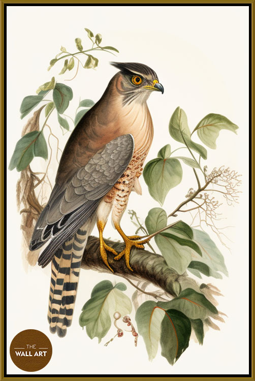 images/products/sparrowhawk_iv/Sparrowhawk_IV_GOLD.jpg