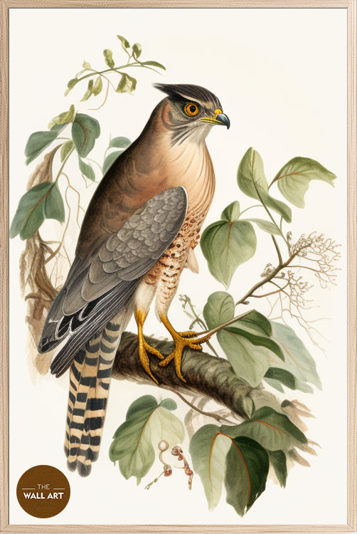 images/products/sparrowhawk_iv/Sparrowhawk_IV_OAK_P.jpg