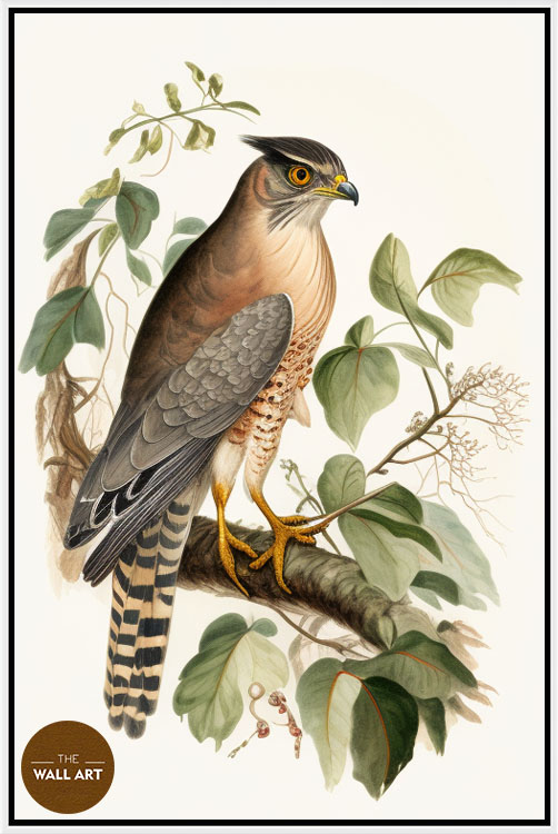 images/products/sparrowhawk_iv/Sparrowhawk_IV_WHITE.jpg
