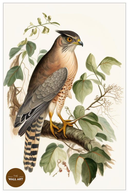 images/products/sparrowhawk_iv/Sparrowhawk_IV_WHITE_P.jpg
