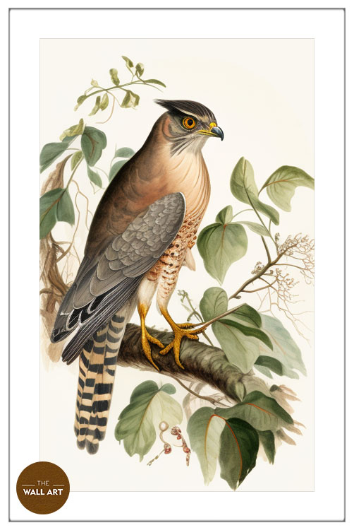 images/products/sparrowhawk_iv/Sparrowhawk_IV_WHITE_PWB.jpg