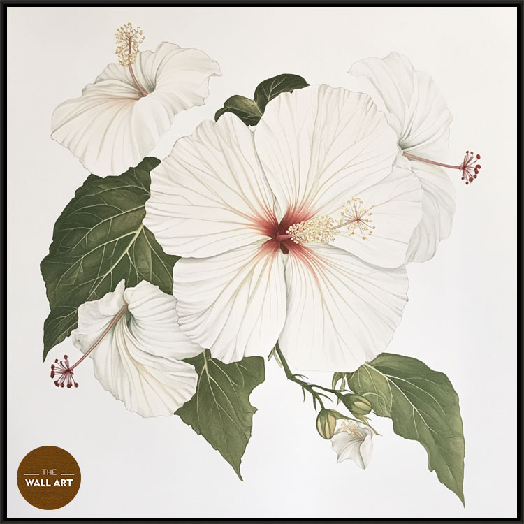 images/products/white_hibiscus/White_Hibiscus_BLACK.jpg