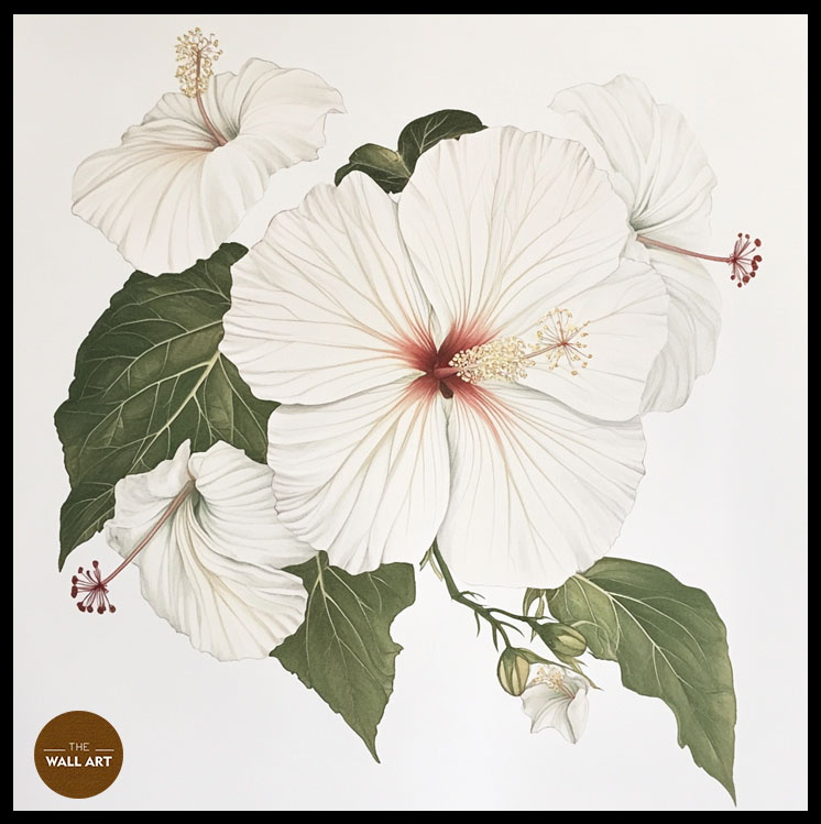 images/products/white_hibiscus/White_Hibiscus_BLACK_P.jpg