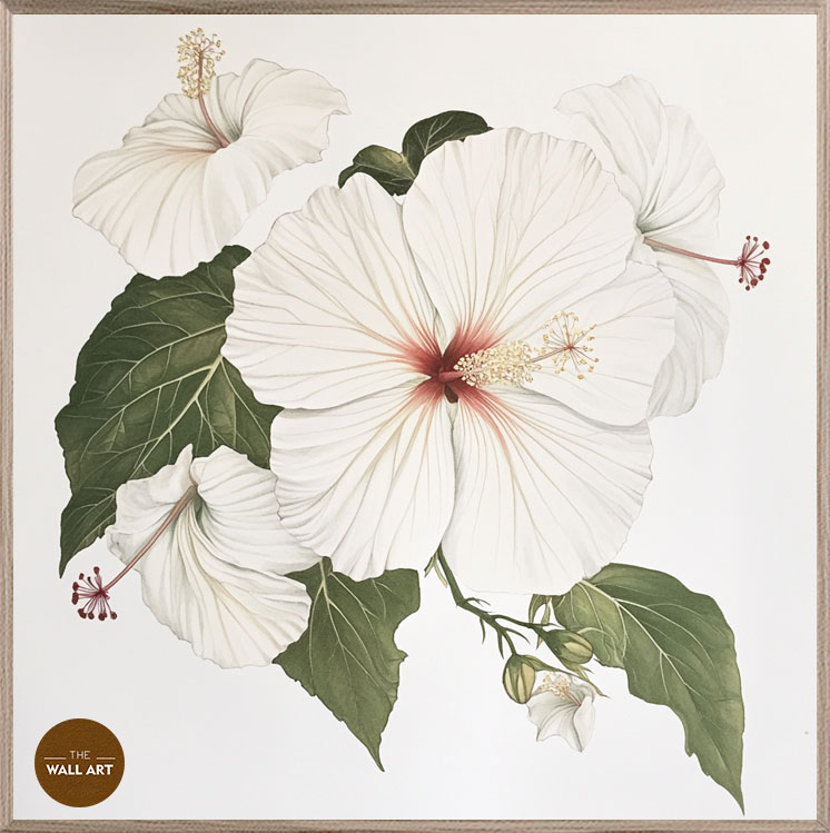 images/products/white_hibiscus/White_Hibiscus_OAK_P.jpg