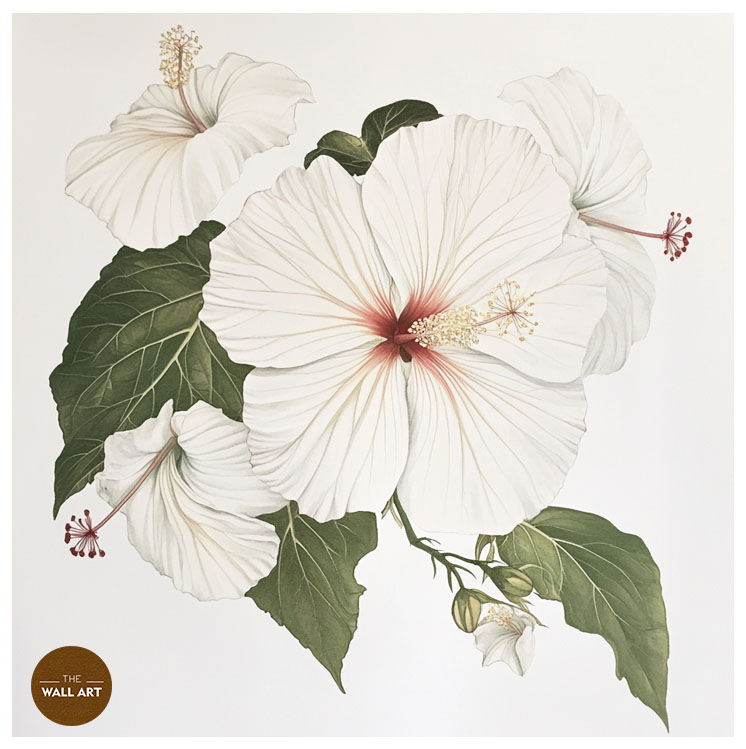 images/products/white_hibiscus/White_Hibiscus_WHITE_P.jpg