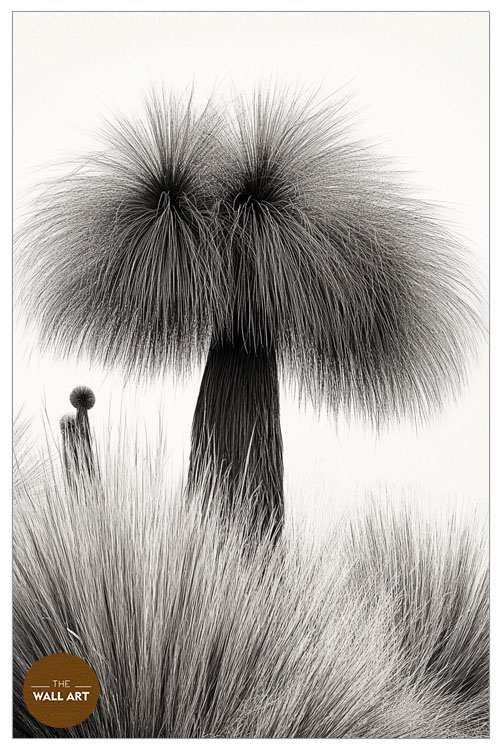 images/products/xanthorrhoea_bush/Xanthorrhoea_Bush_WHITE_P.jpg