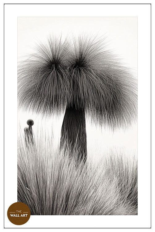images/products/xanthorrhoea_bush/Xanthorrhoea_Bush_WHITE_PWB.jpg
